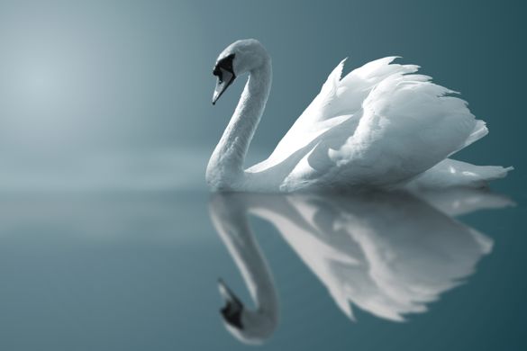 Istock 139255757